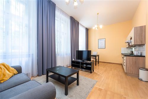 Pronájem zařízeného bytu 2+kk, 60 m2, Belgická, Praha 2 - Vinohrady