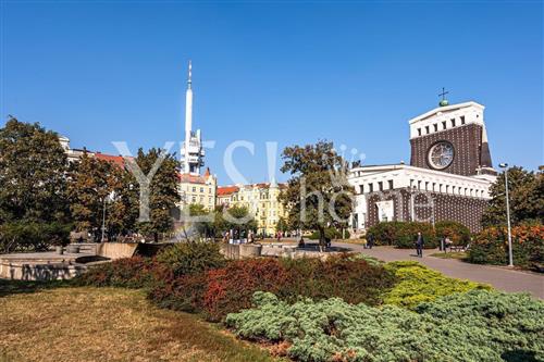 Jiřák (kopie).jpeg