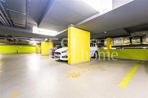 DSC_6653 (kopie).jpg