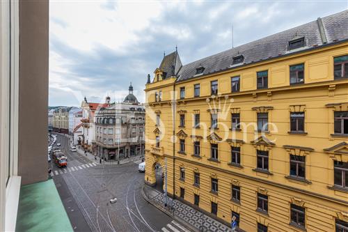 IMG_9584.jpg