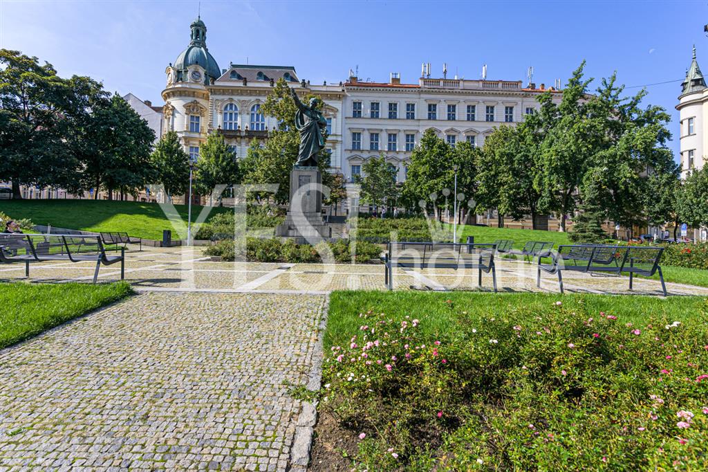 DSC_6619 (kopie).jpg